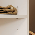 Armoire de coin avec 2 tringles, porte-pantalons et organisateur de chaussures